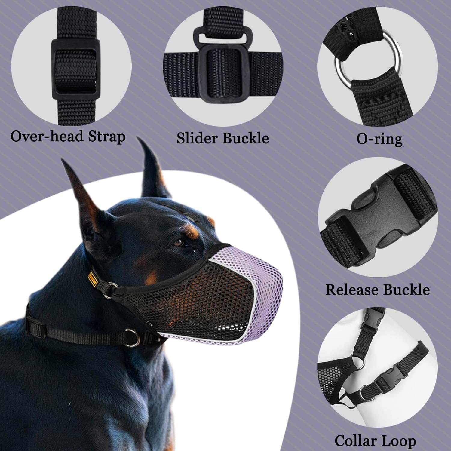 Mesh Dog Muzzle with Matching Collar(Black/Grey, M) and Mesh Dog Muzzle with Matching Collar(Black/Purple, M) Set for Medium Large Dogs to Prevent Scavenging