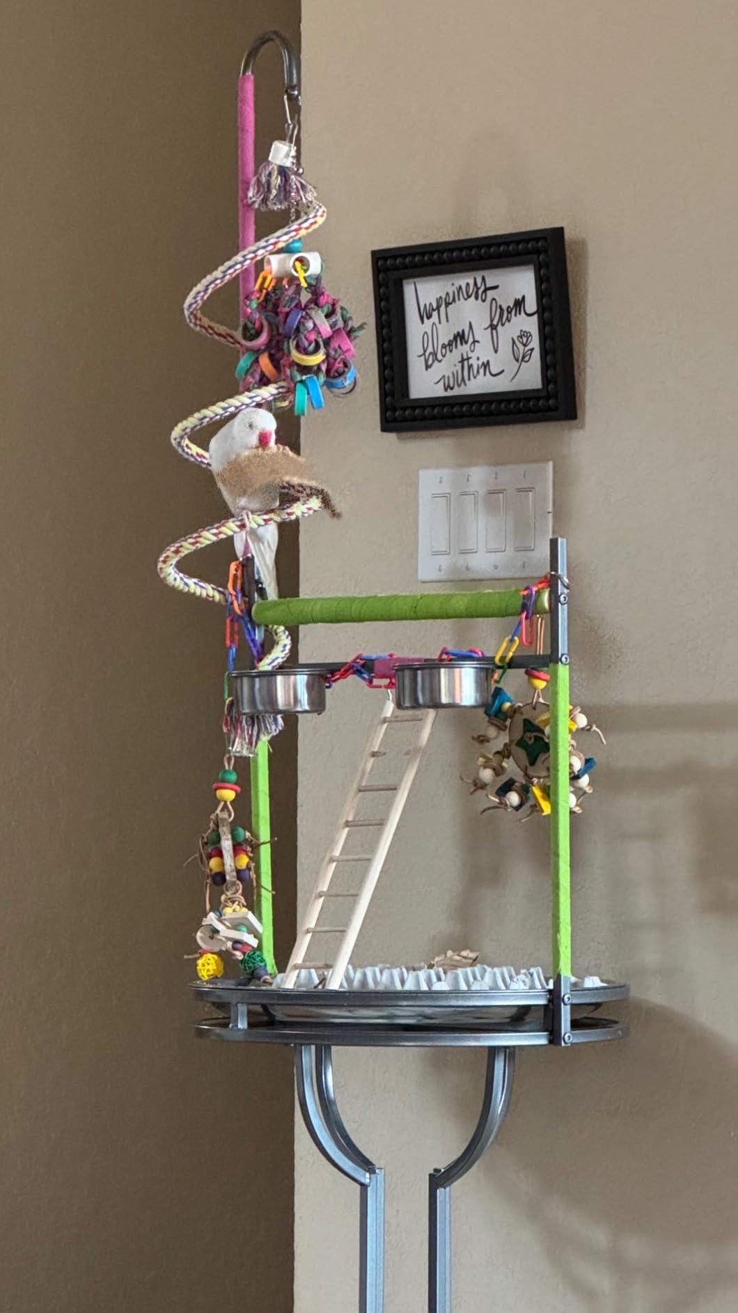 cozivvovv 72" Parrot Stand Large Bird Playstand, Wood Perch with Easy Grip Pet Products,Stainless Steel Tray Bowls Toy Hook Rolling Wheel, Wrought Iron Bird Play Ground Rolling Stand