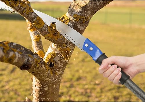 Miniatura 4 de FLY HAWK Sierra de poste, sierras de poste de 90 pulgadas para recortar árboles, recortadora de árboles, poste de pie, poda, hoja de sierra, barra