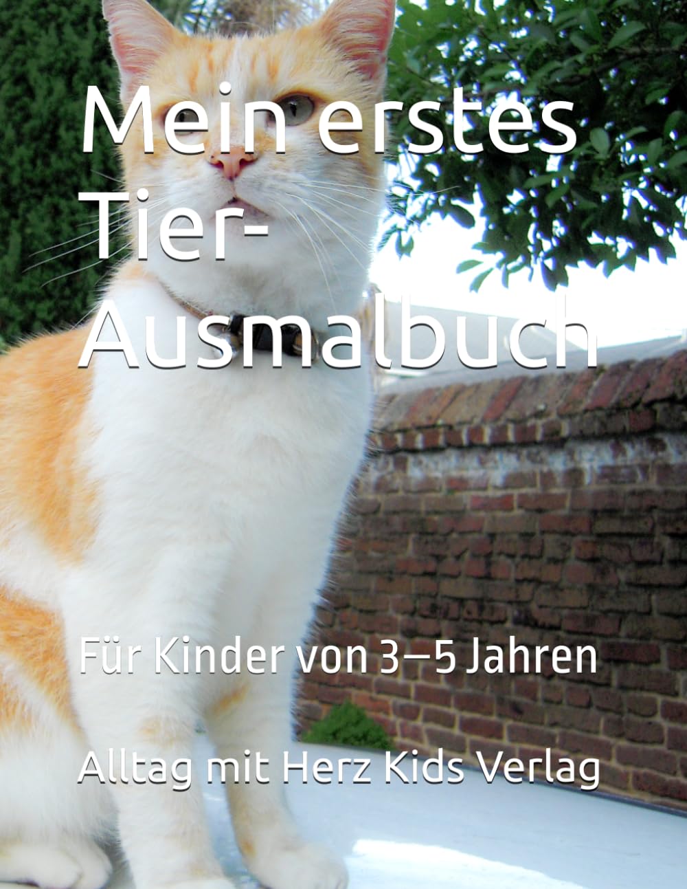 Mein erstes Tier-Ausmalbuch: Für Kinder von 3–5 Jahren