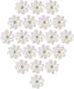 20pcs Daisy Flower Patch,Daisy Flower Embroidered Patches,Sew On Patches Daisy Flower Applique Patches Iron On Sewing On Flower Patches for Embroidery Repair DIY Crafts,T-Shirt Pants Bags Hat Jeans