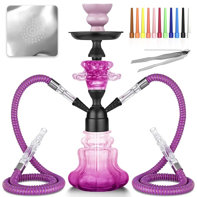 Hookah Set With Everything 14 Shisha Hookah Complete Set - Glass Flower Vase Ledther Hose Foils Hookah Tips