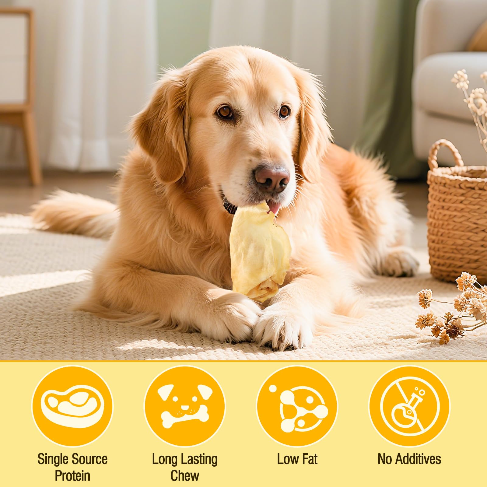Oreilles de Vache 100% Naturelles pour Chiens - Friandises dentaires à ingrédient Unique, Longue durée, pour Toutes Les Races (Petites/Moyennes/Grandes) | Riches en protéines, faciles à digérer，120G