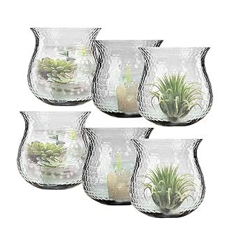 Aakriti Glass Flower Vase (Transparent)