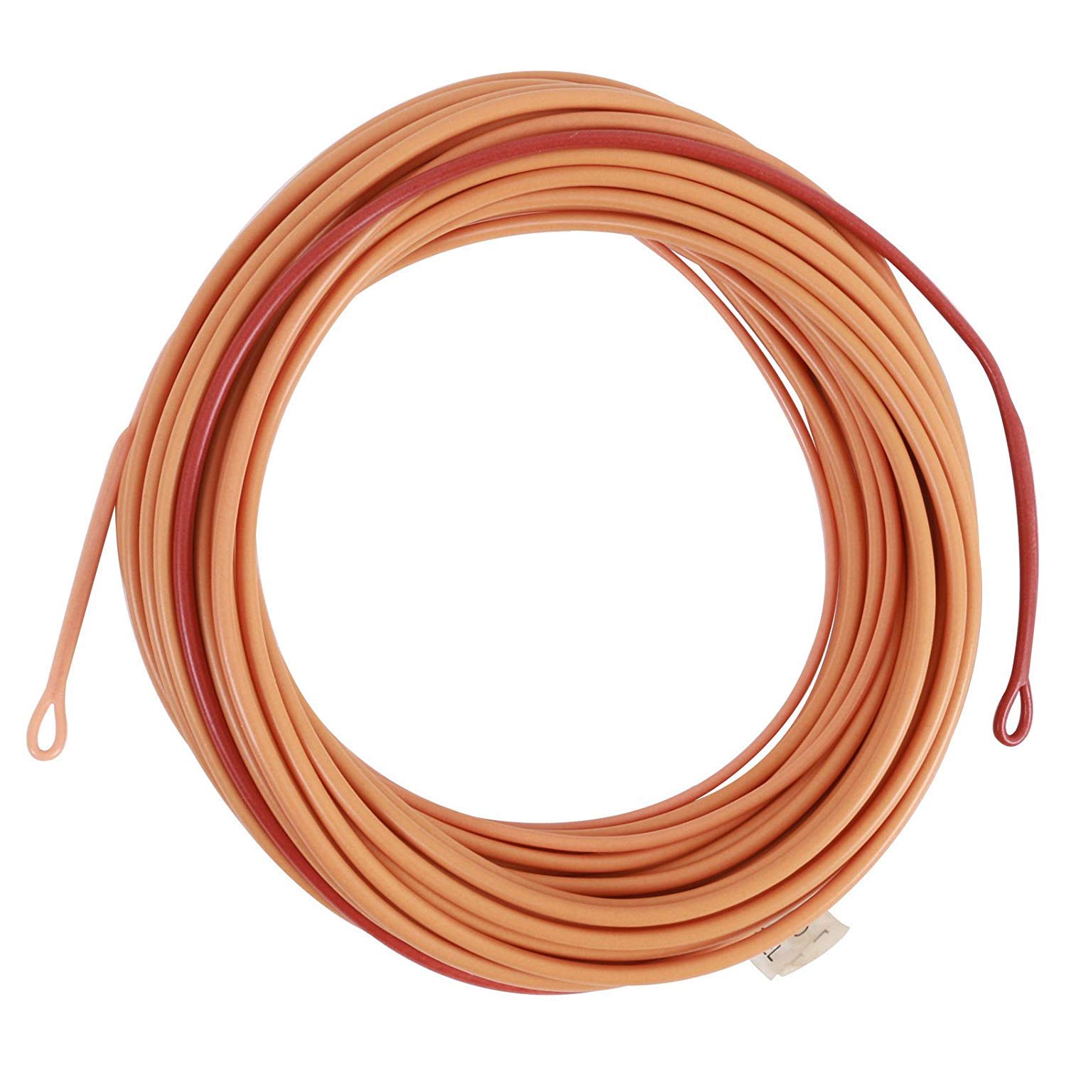 MaximumcatchSkagit Shooting Head Fly Line 200GR-650GR 17FT-29FT with 2 Welded Loops (Honey/Brown, 23FT 500GR)