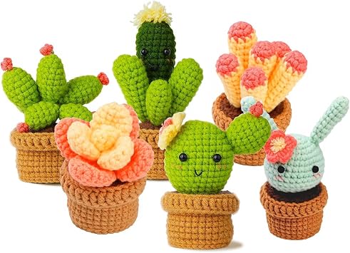 Crochet Kit for Beginners, DIY Crochet Set with Yarn, Hooks & Accessories, Beginner Crochet Kit Complete Knitting Starter Kit Succulent Potted Plants 6 Pack