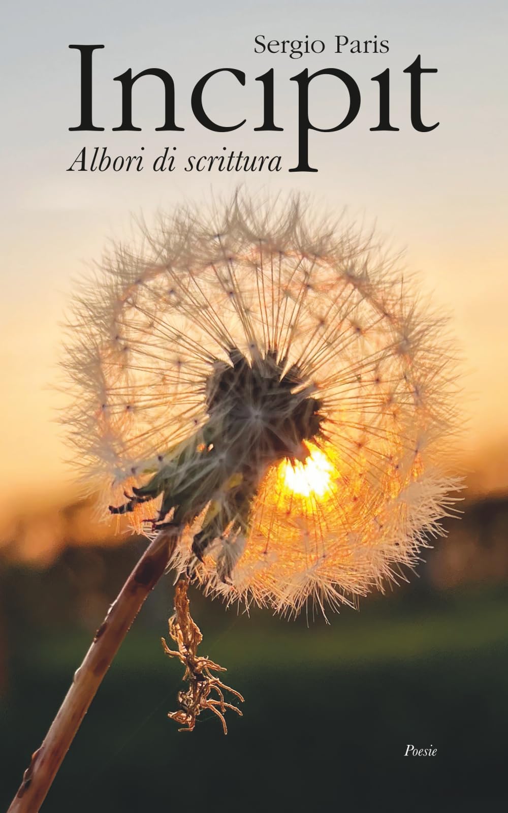 Incipit - Albori di scrittura