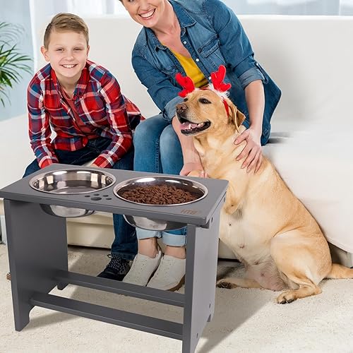 Miniatura 7 de HTB Cuencos elevados para perros, soporte elevado para perros con 2 cuencos de acero inoxidable, cuencos elevados para perros grandes, medianos y