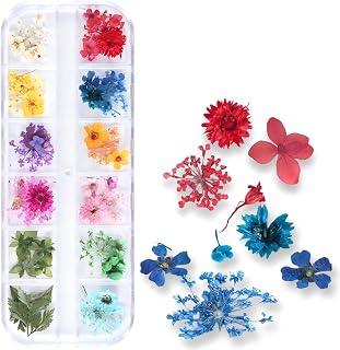 60 pcs 3D Nails Dried Flowers Resin Accessorie,Mini Natural for Nail Art Supplies Decal, Mixed Accessory Starry Flower Stickers,Colorful Dry Decals,2.8 * 0.75 * 0.67'' (12 Colors Green Leaf Version)