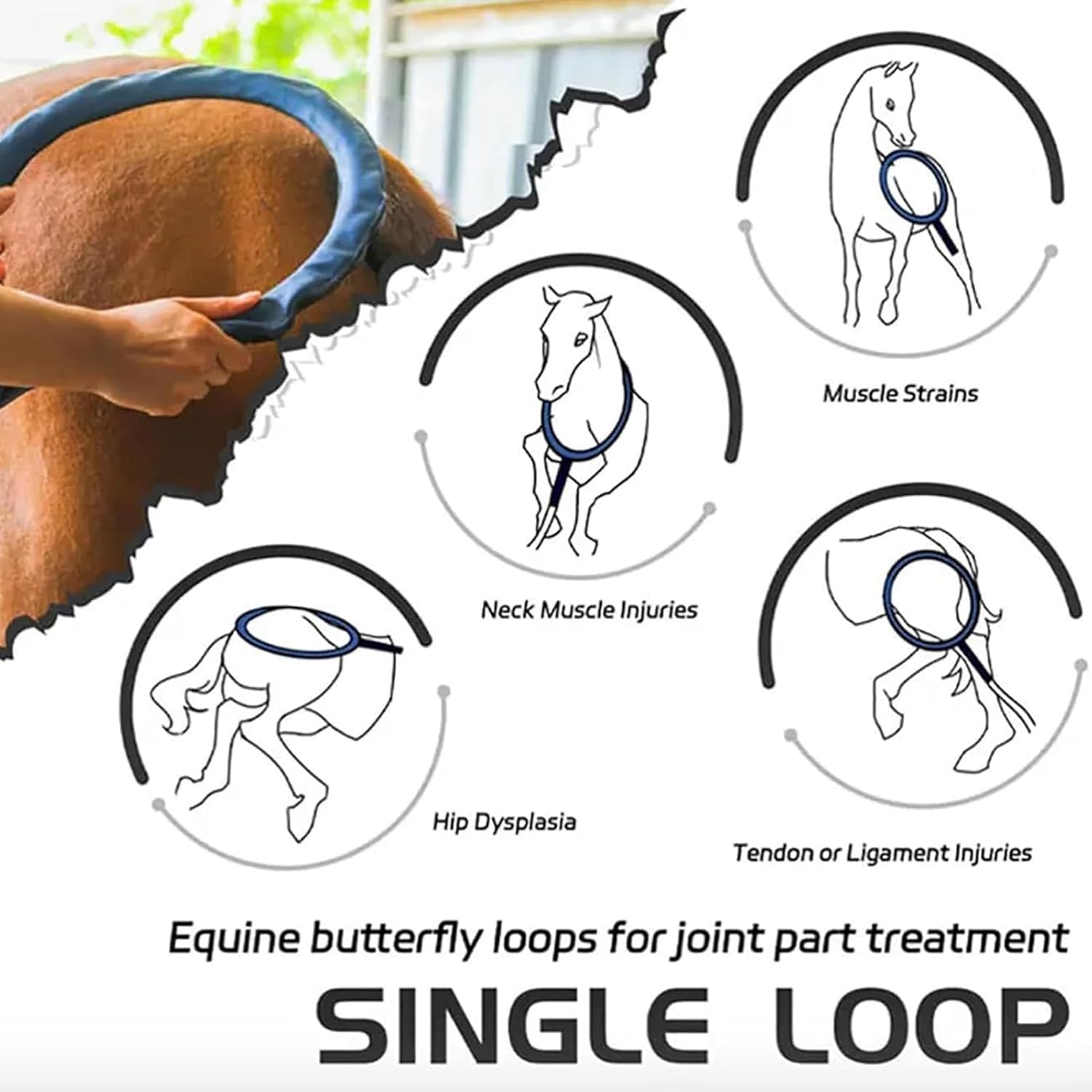 2025 Horses PEMF Therapy Devices, Portable Veterinary Pulse Electromagnetic Equipment, PMST Loop Magnetic Therapy Machine, Promote Bone Health