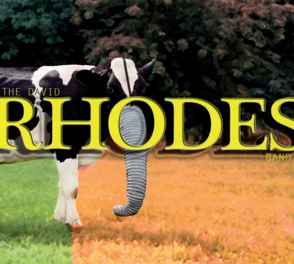 RHODES BANDK,DAVID - David Rhodes Band - Amazon.com Music