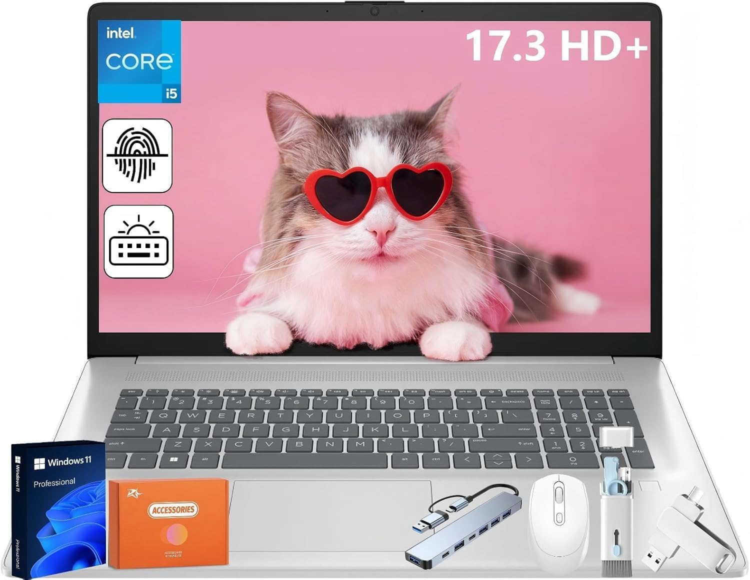 HP 17 Inch Business Laptop, Intel i5-1334U(Up to 4.6 GHz), 17.3" HD+ BrightView 250 nits, Wi-Fi 6, 16GB RAM, 512GB SSD, 128 GB USB, Backlit Keyboard, Fingerprint Reader, Windows 11 Pro, w/Accessories