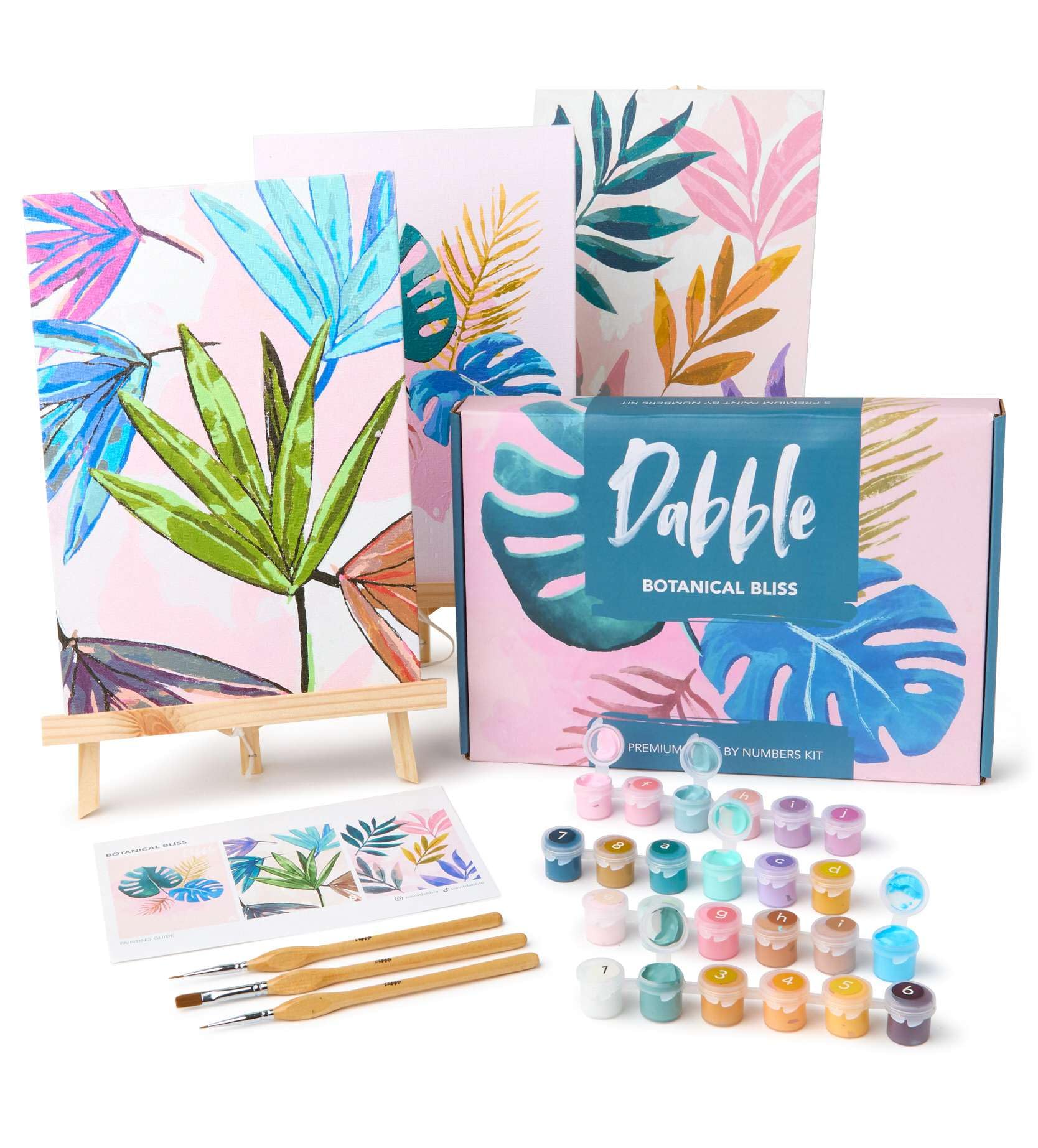 Dabble Paint by Numbers Kits – Set of 3 Paint by Numbers for Adults Beginners with Canvas Frame, Painting Kits for Adults, Flowers Designs
