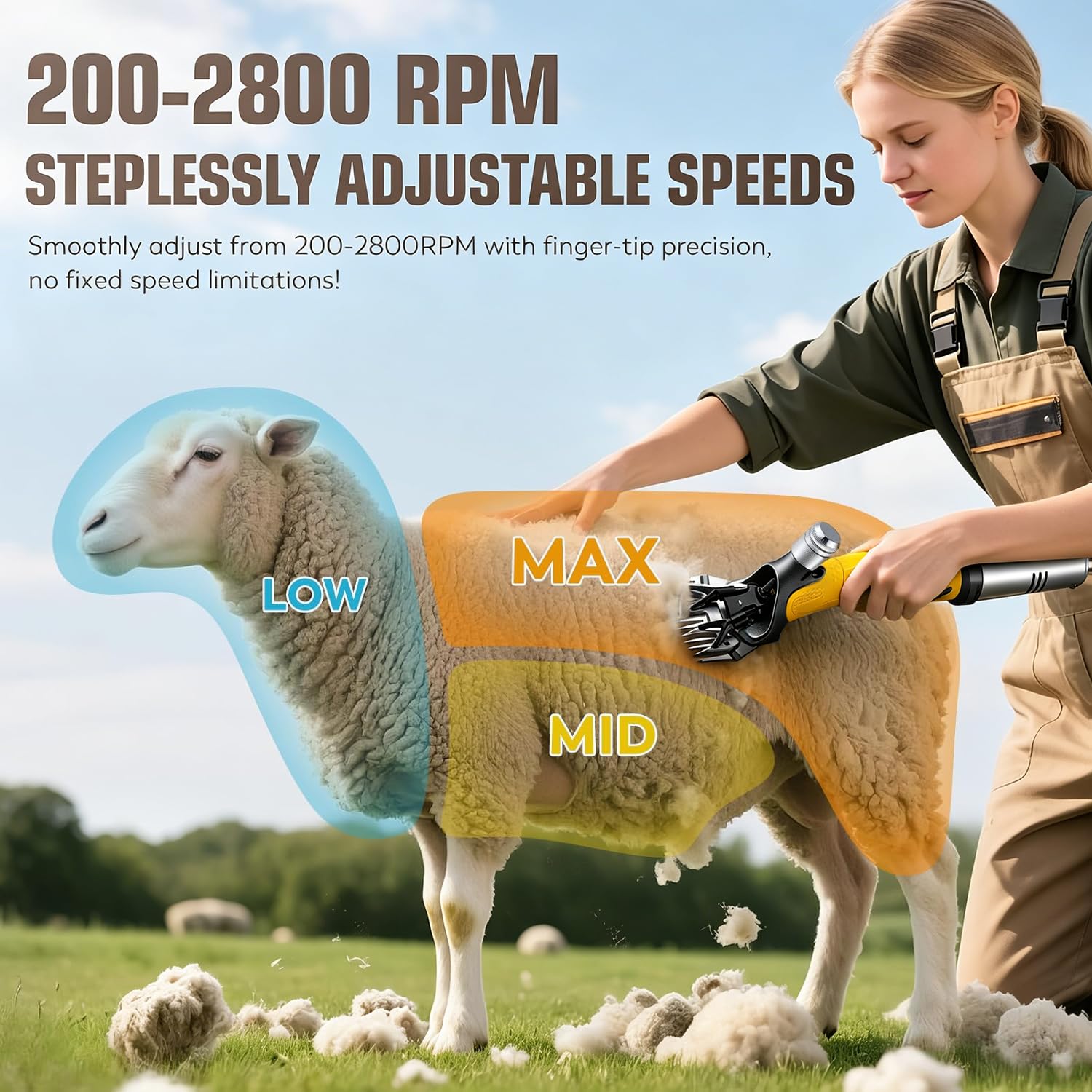 CGOLDENWALL 1000W Tosatrice Professionale per Pecore 2400giri/min con 6 Velocità e Doppia Protezione Anti-Surriscaldamento -Lame in Acciaio al Carbonio per Pecore, Capre, Alpaca - Kit Completo Incluso