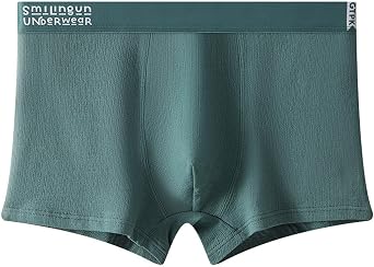 Cotton Bulge Underwear for Men Casual Fashion Stretch Boxer Briefs Soft Comfy Sexy Lightweight Breathable Trunks