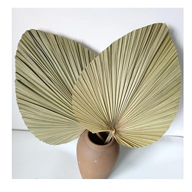 SPHINX Natural Dried Palm Leaf Sticks - Boho Theme Décor, Dried Flora for Ceramic Vases, Home Decoration, Craft & Bouquet Making Supplies (Natural Color, Huge, 2 Pcs)