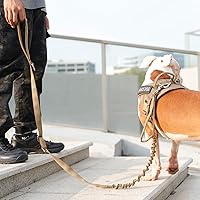 Vista 6 de EXCELLENT ELITE SPANKER Correa táctica para perro, ajustable, K9, militar, correa elástica para perro, cuerda elástica con 2 asas de control