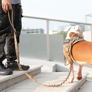 EXCELLENT ELITE SPANKER 5-6FT Military Bungee Dog Leash Adjustable Elastic
