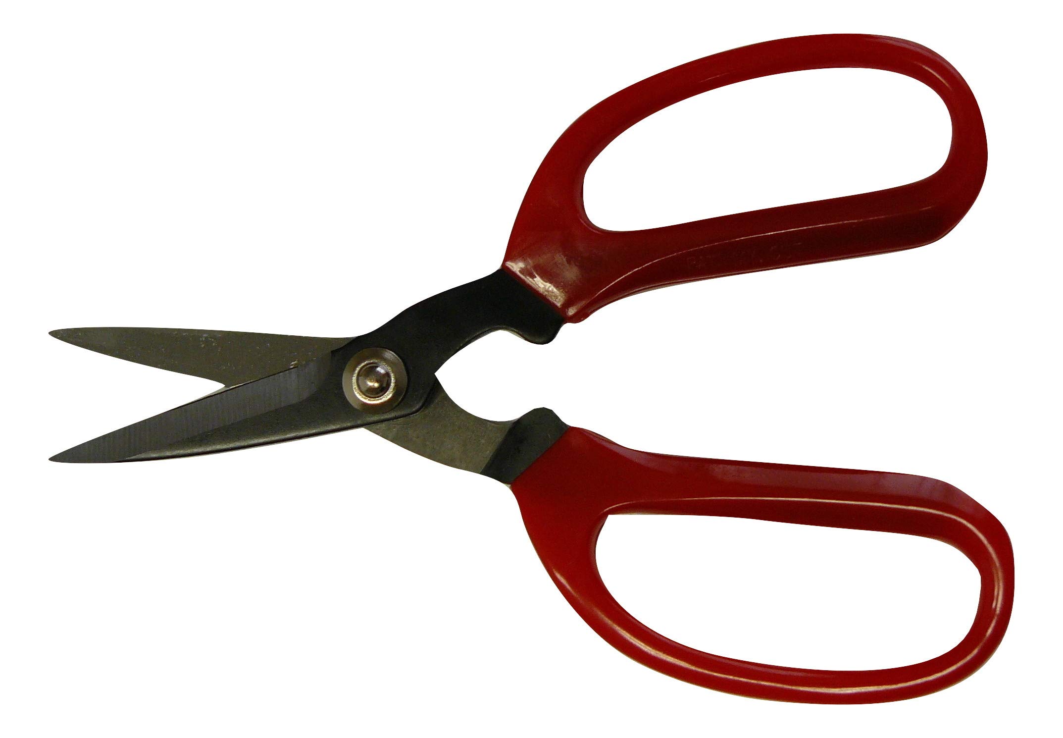Calipso Professional Florist Carbon Blade Edge Scissors 18cm