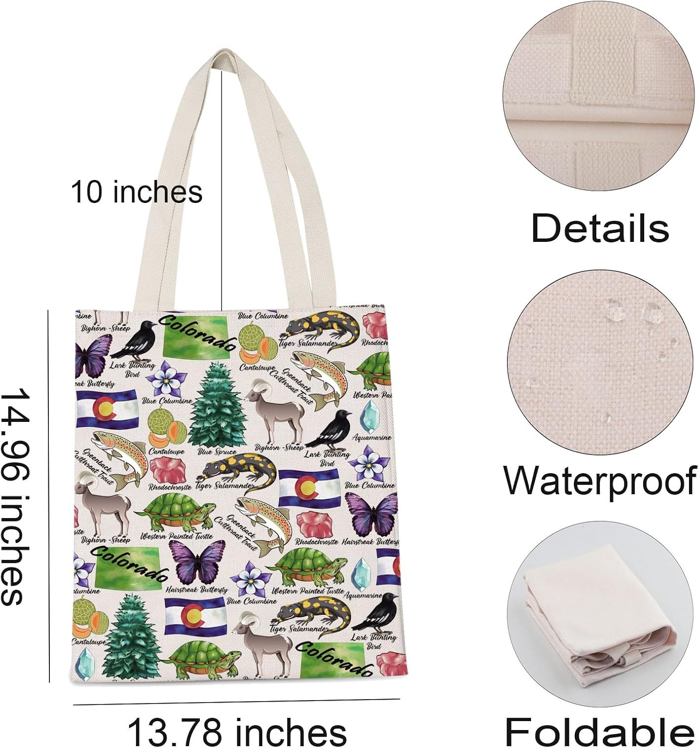 Colorado Tote Bag Centennial State Vacation Lover Reusable Shopping Bag CO Travel Gift for BFF Mom Dad image 4