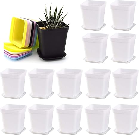 Amazon Dkklrr 植木鉢 プラスチック製 受け皿付き 多肉植物 14個セット 7 8 7 5cm おしゃれ 可愛い ミニ植木鉢 四角 底穴付き サボテン鉢 プランター 容器 育苗ポット 通気 発芽 育苗 種子 ポット フラワーポット 根はり鉢 プラ鉢 軽量 観葉植物 家庭植物 野菜栽培 園芸