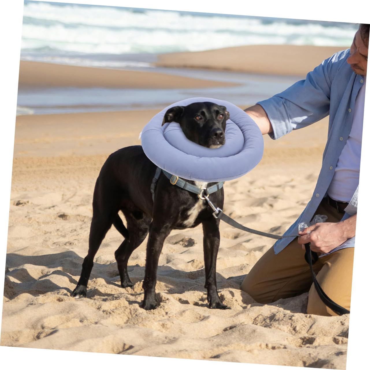 Collerette Conique Souple pour Chien, Anti-léchage, Taille Xxl, Tissu