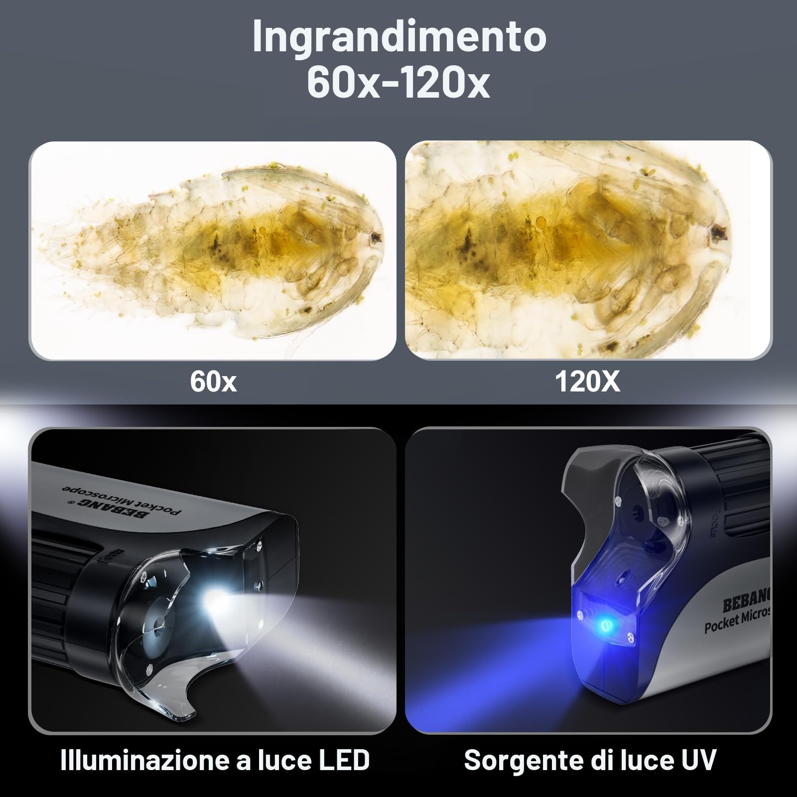 Microscopio tascabile per bambini, mini microscopio Ottico con zoom illuminato a LED, 5 vetrini preparati, Plus-microscopio biologico portatile per studenti, osservazione microbiologica (Nero)