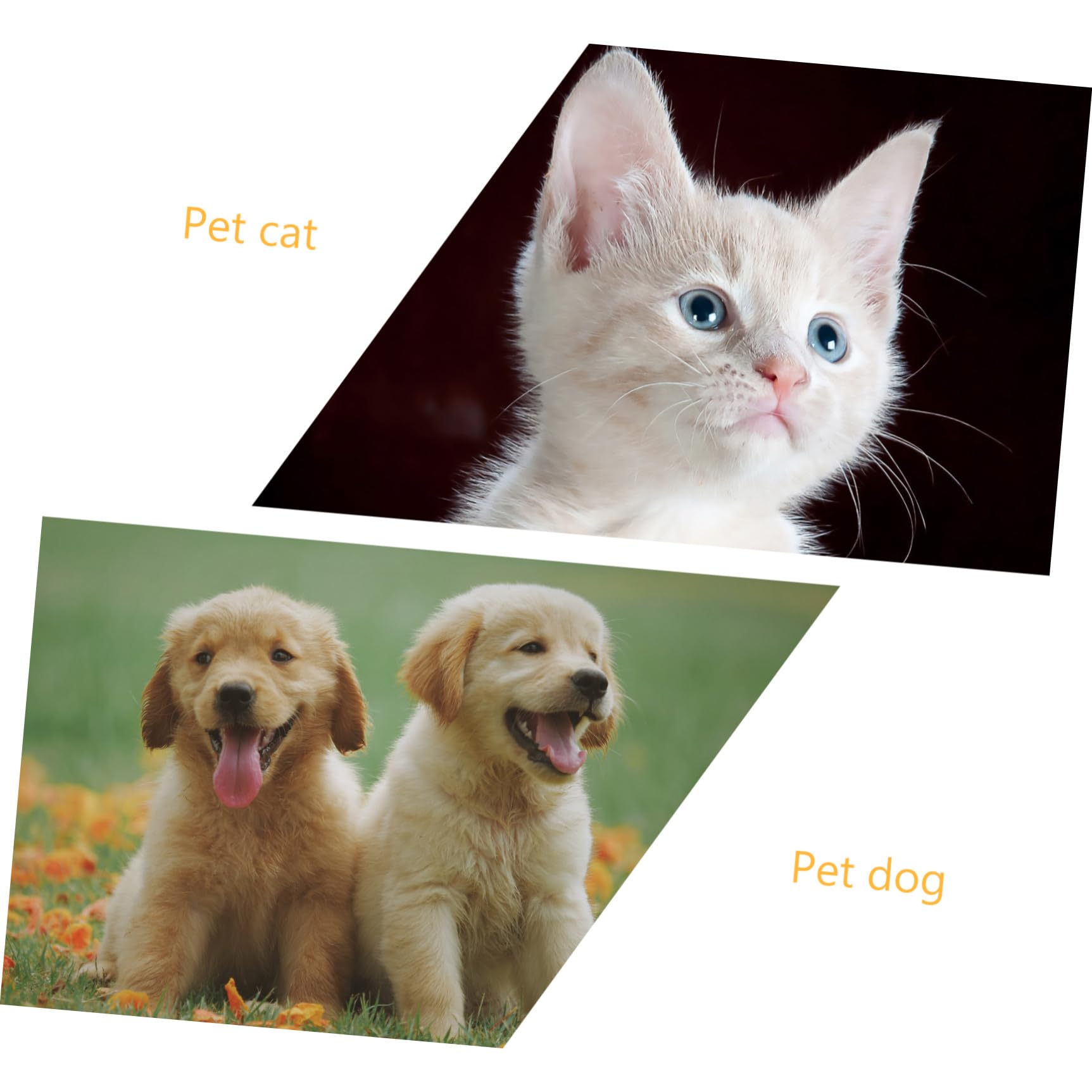 YARNOW Lot De 4 Chapeaux Et Bandanas pour Chien Et Chat pour Halloween