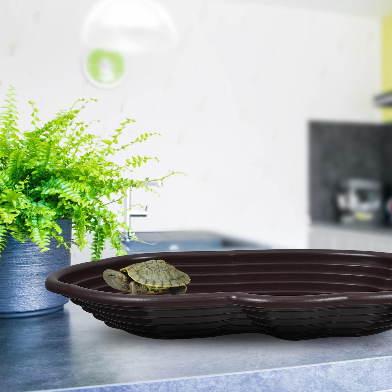 Piscina para Tortugas y Reptiles Plato de Comida y Plataforma para Escalar, Adecuada para Hábitats y Decoración de Acuarios