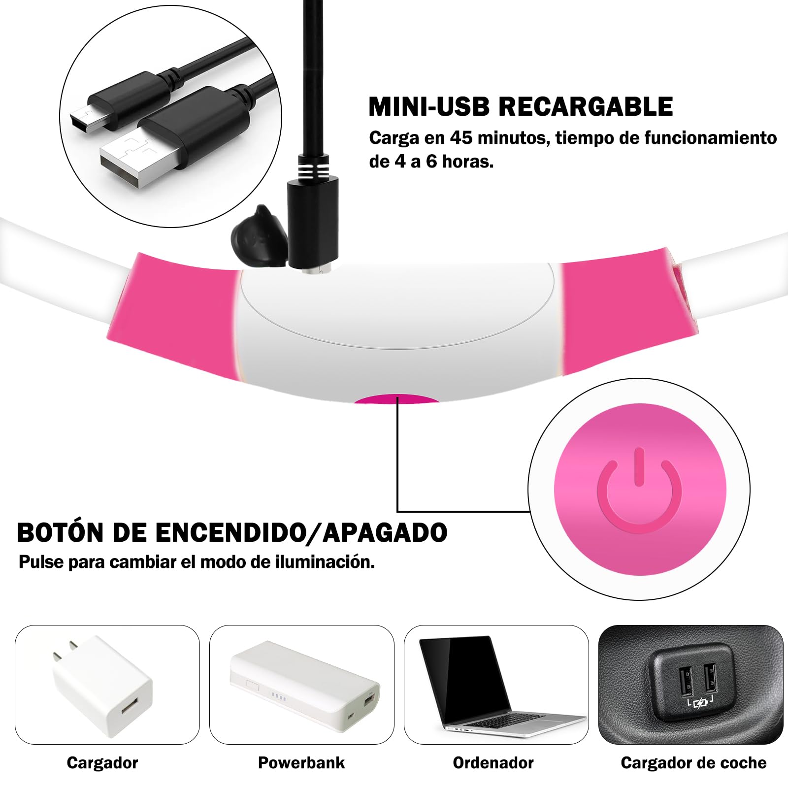 Nepfaivy Collare Luminoso per Cani - Collare per Cani a LED Ricaricabile per Portare a Spasso di Notte, Collare per Cani Impermeabile e Regolabile con 3 Modalità di Lampeggio, Blu