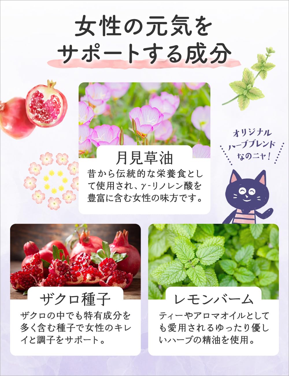 Amazon | 【3袋セット】ルミエル チェストツリー サプリ チェスト