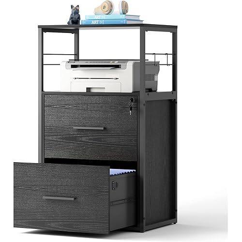 DEVAISE 2 Drawer Lateral File Cabinet with Lock, Filing Cabinet fits Letter/Legal/A4 Size, Large Printer Stand with Storage Shelves for Home Office, Black