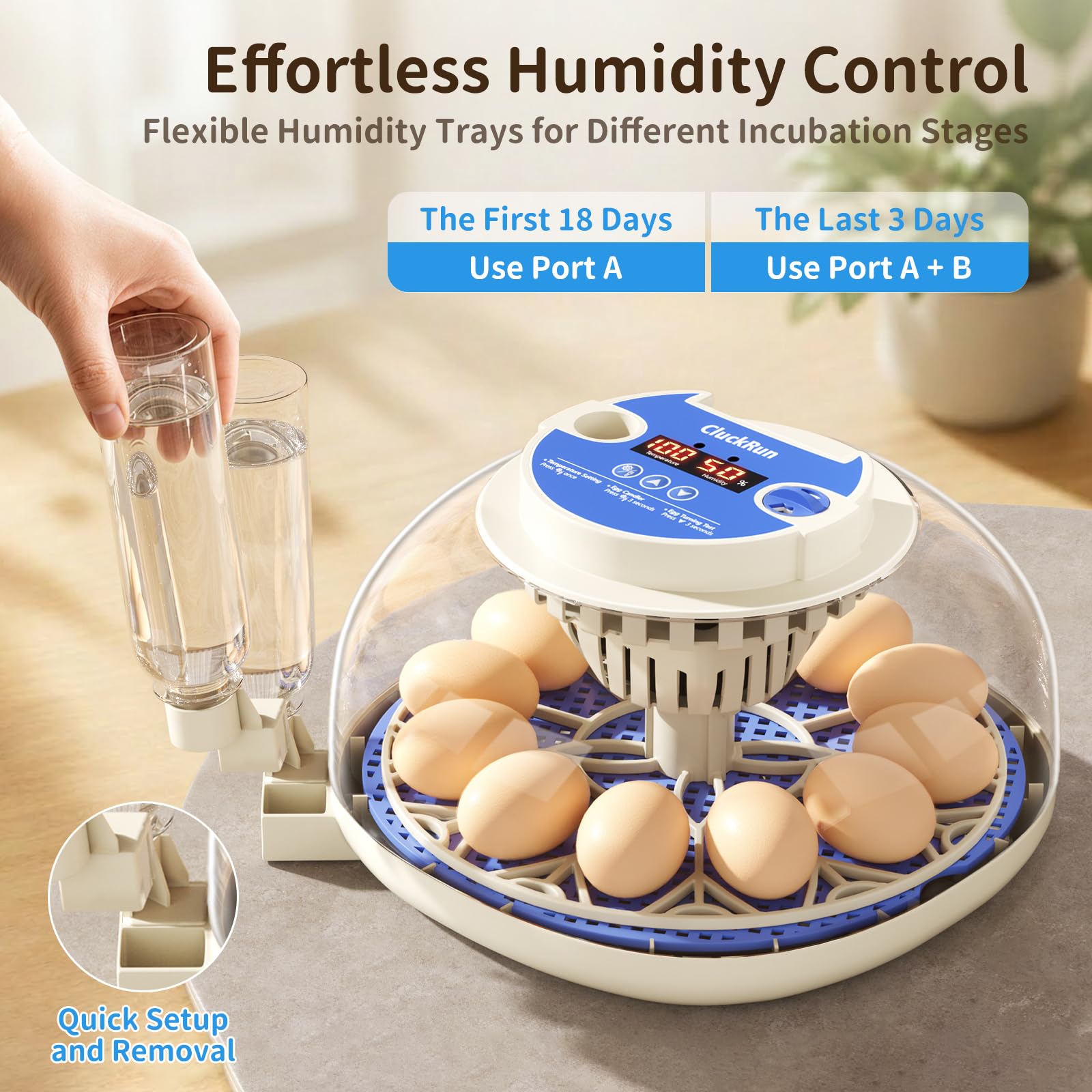 Amazon.com: 12 Egg Incubators for Hatching Eggs, Temperature and