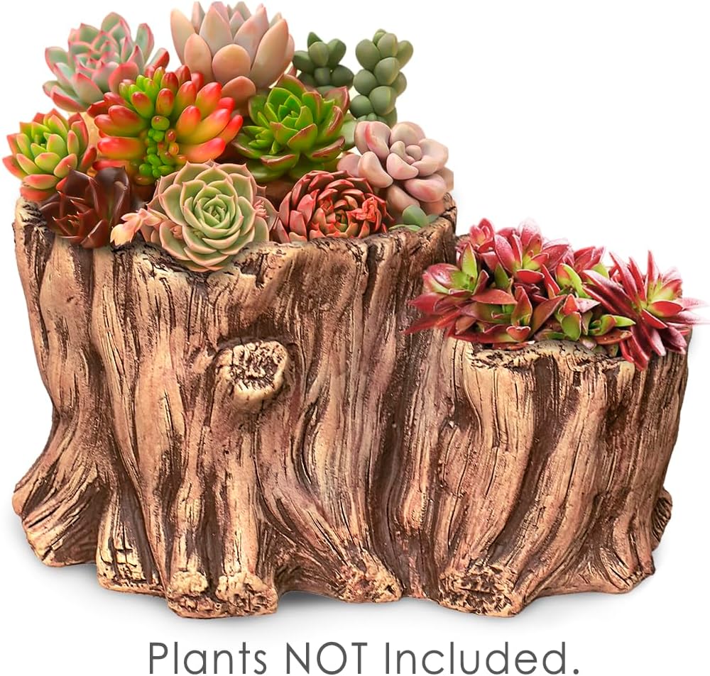 Classic Rectangular Concrete Indoor Succulent Planter with Drainage Hole