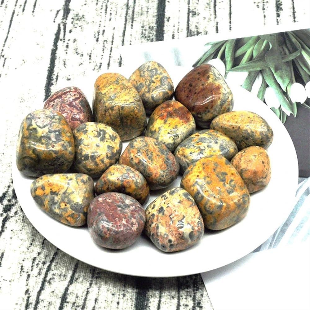 KatLin Beautiful Natural Leopard Jasper Gravel Specimen Size Irregular Tumbled Stones Reiki Healing Crystals Quartz Mineral Home Aquarium Decor Ornaments (Size : 500g)