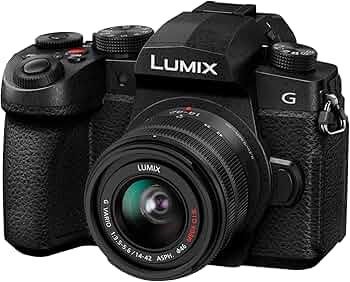 Panasonic LUMIX DC-G97 (G99Ⅱ) 71DGLJn-R1L._AC_UF350,