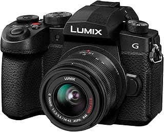 Panasonic DCG97M Lumix G97M Micro Four Thirds Mirrorless Camera + 12-60mm F3.5-5.6 Lens, Live View Composite, Dual I.S.2, Black