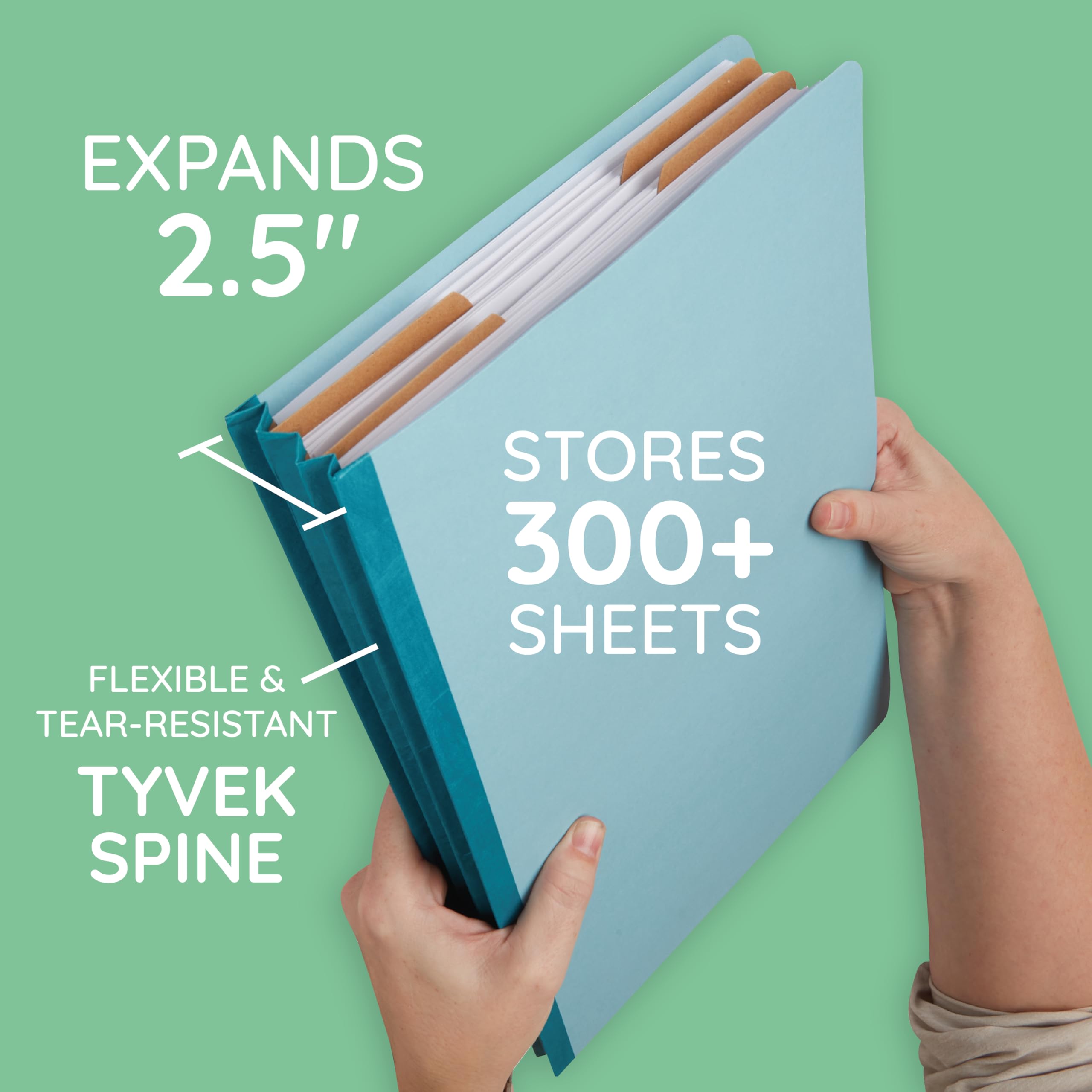 Blue Summit File Folders 30 Legal Size Classification Folders - 2 ...