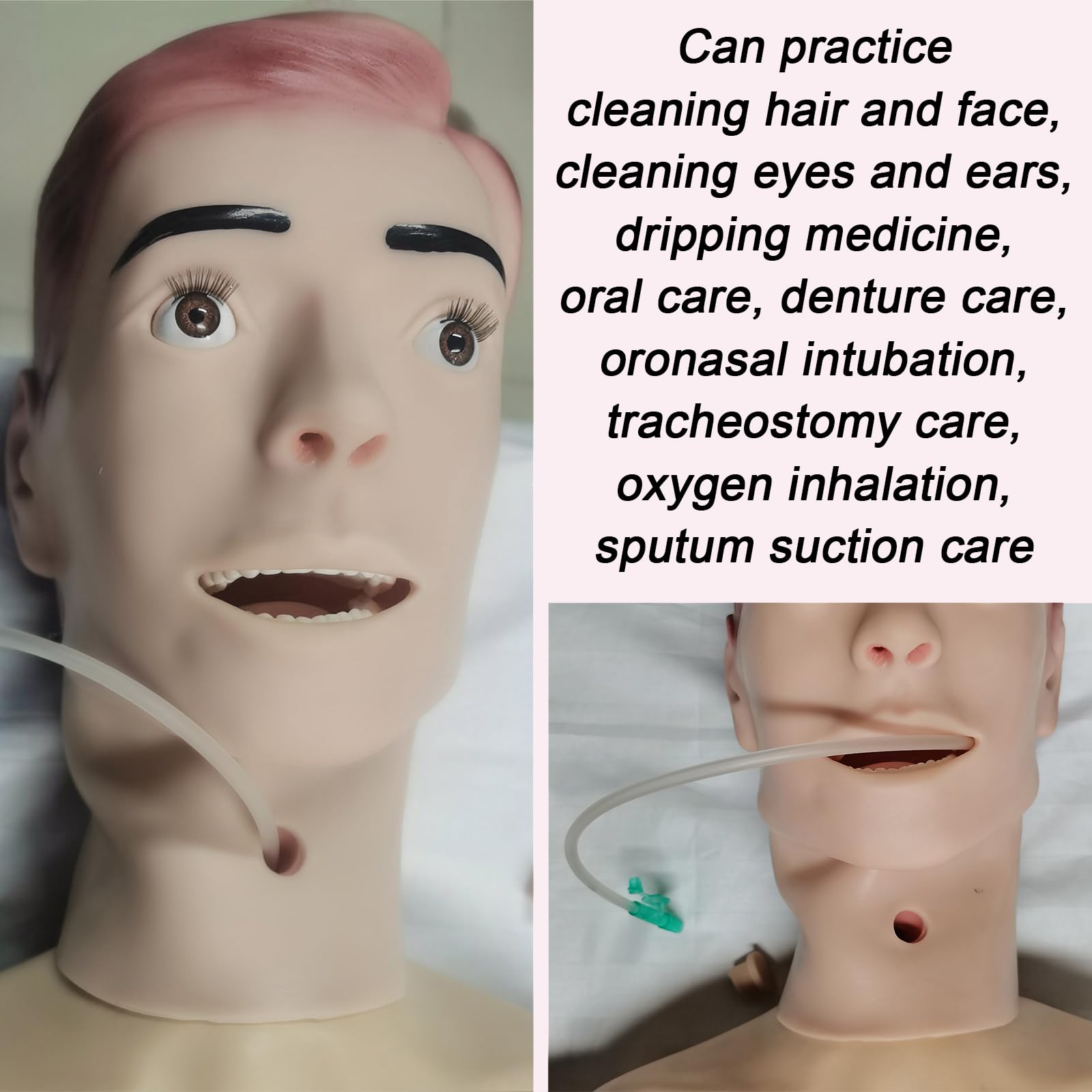 2 juegos 170cm Masculino Maniqui Enfermeria con Vísceras & Genitales Intercambiables & Detalles Realistas RCP Simulador para Enfermería Médico Formación Enseñando y Educación Médico Suministros