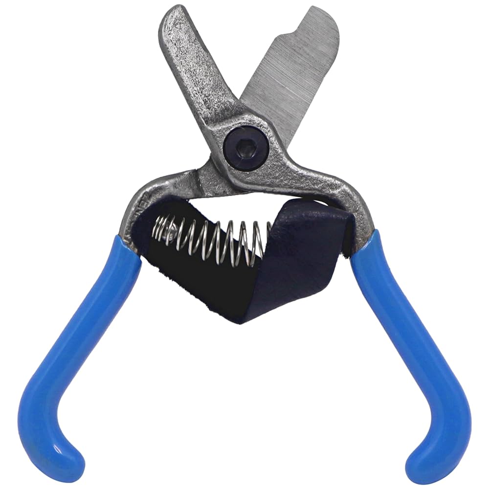 バトン hand to hand Amazon.com : Zenport H322 Fruit Shears/Lemon Citrus Clippers