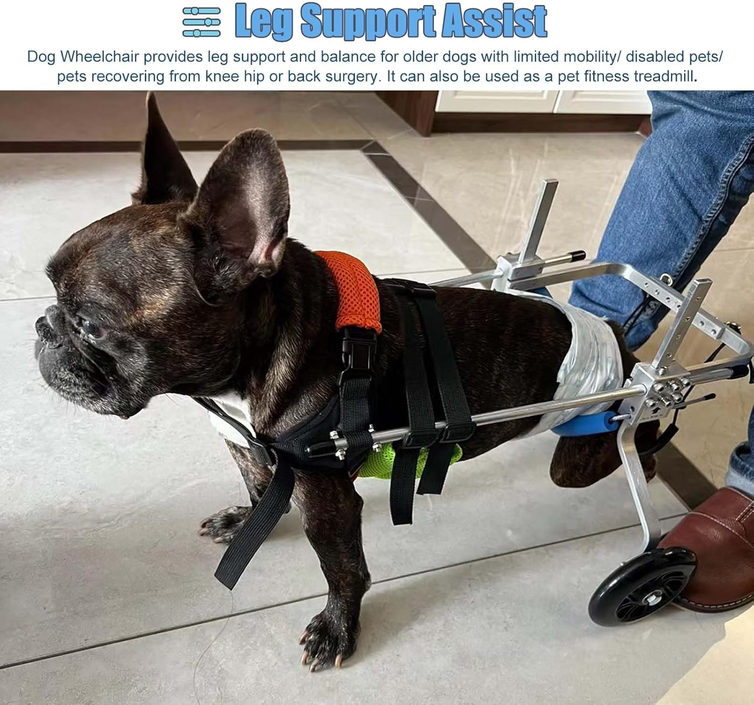 kinacoページ小型犬用4輪 犬の車椅子 犬の歩行器 +オプション