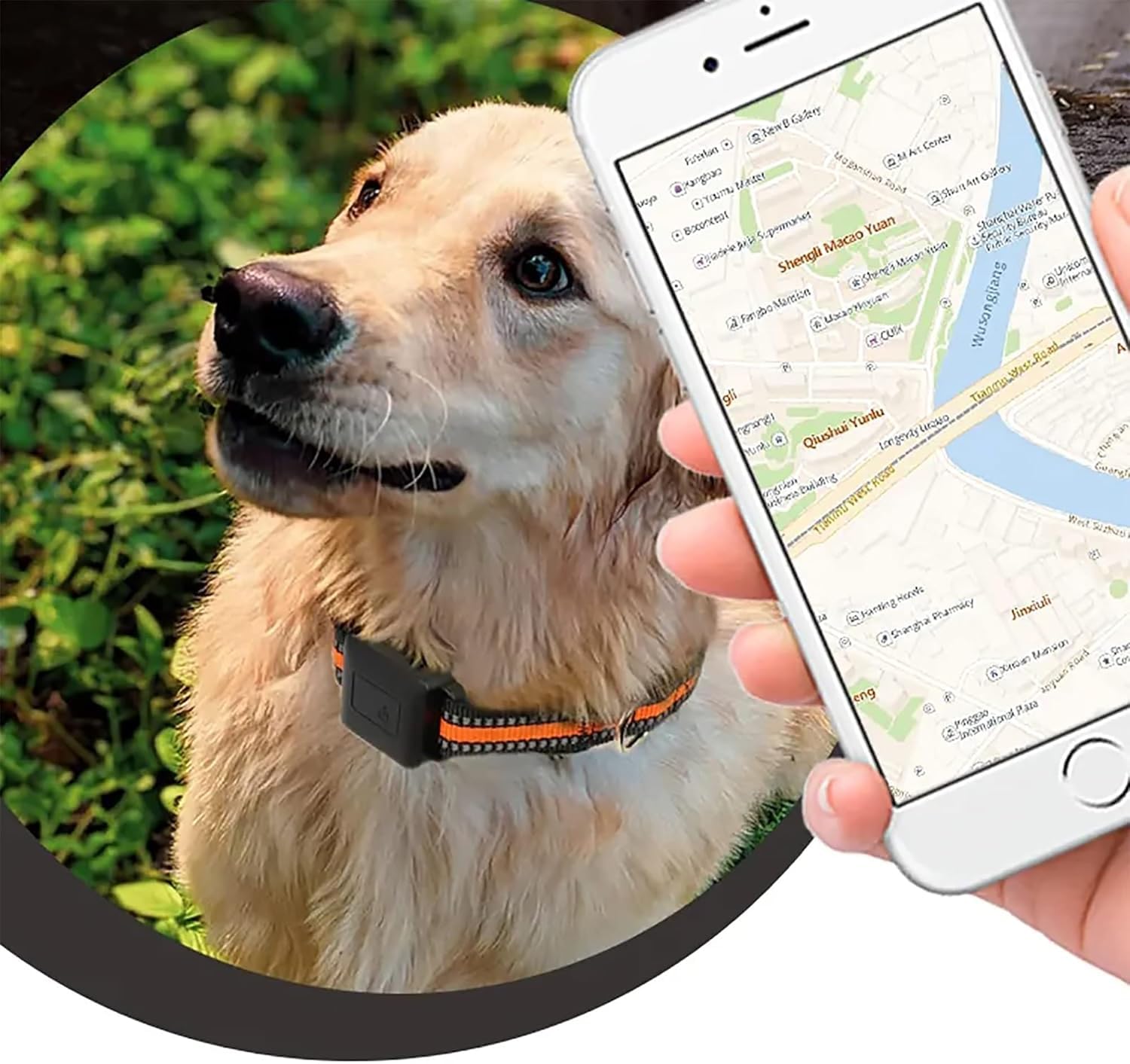 Valla eléctrica para mascotas, impermeable y recargable, con GPS, no celular, para perros, gatos, monitor de actividad de mascotas
