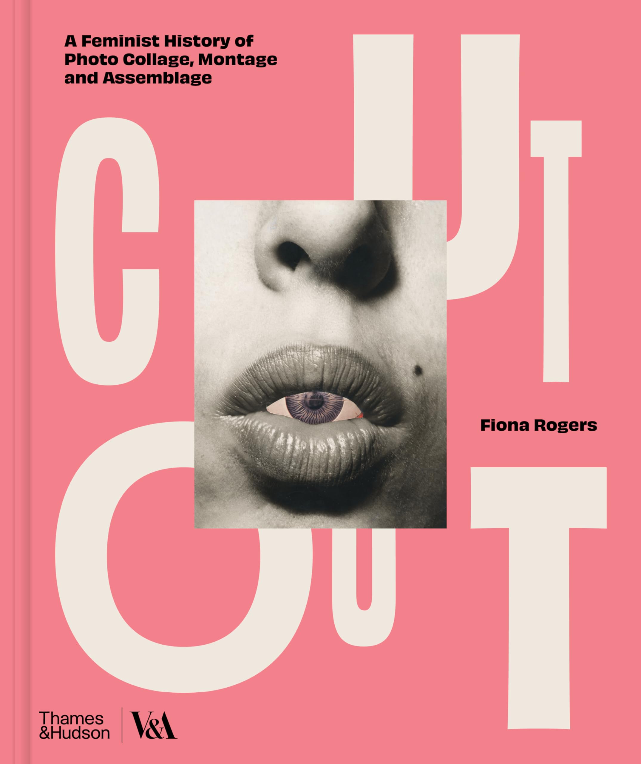 Cut Out by Fiona Rogers - 9780500481127