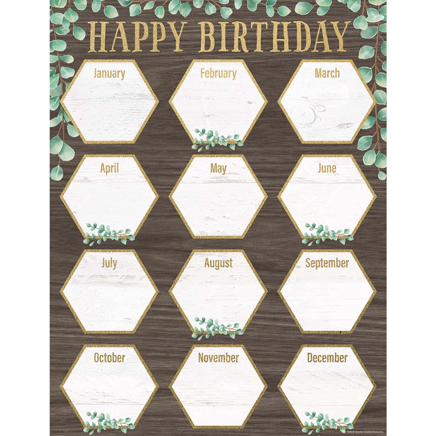 Amazon.com: Teacher Created Resources Eucalyptus Happy Birthday Chart, 17