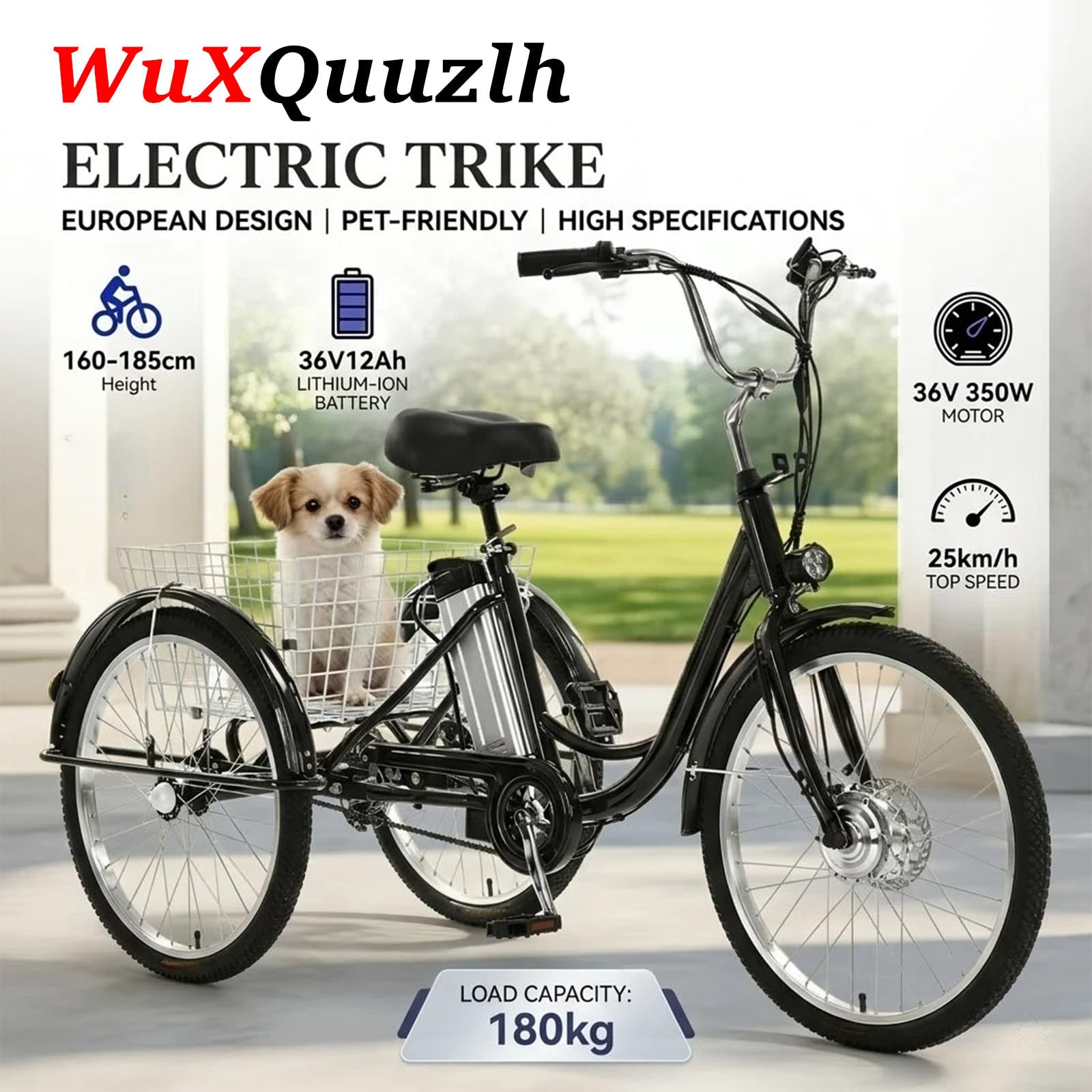 Tricycle Cargo électrique pour Adulte, vélo électrique à 3 Roues avec pneus de 24 Pouces, Batterie Amovible et écran numérique pour Les Courses Quotidiennes (Noir).