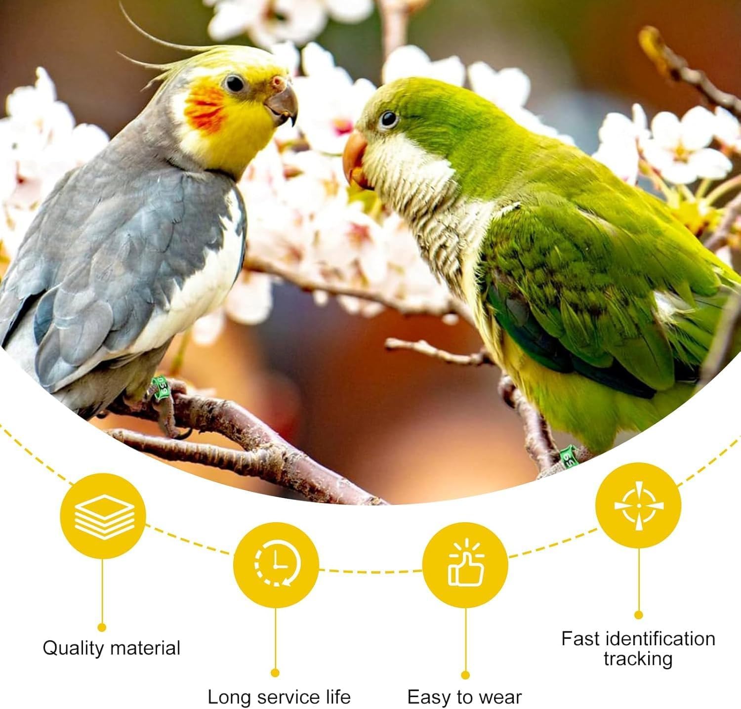 Open Bird Foot Ring, Aluminum Alloy Split Bird Leg Ring for Parrots,Hibiscus,Peonies,Pigeons (6.0mm,50pcs) image 3