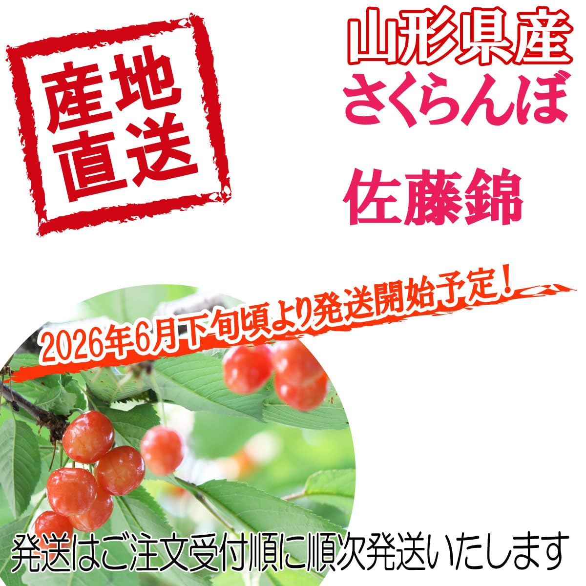 Amazon.co.jp: 山形県産 さくらんぼ 佐藤錦 訳あり 1kg : 食品・飲料・お酒