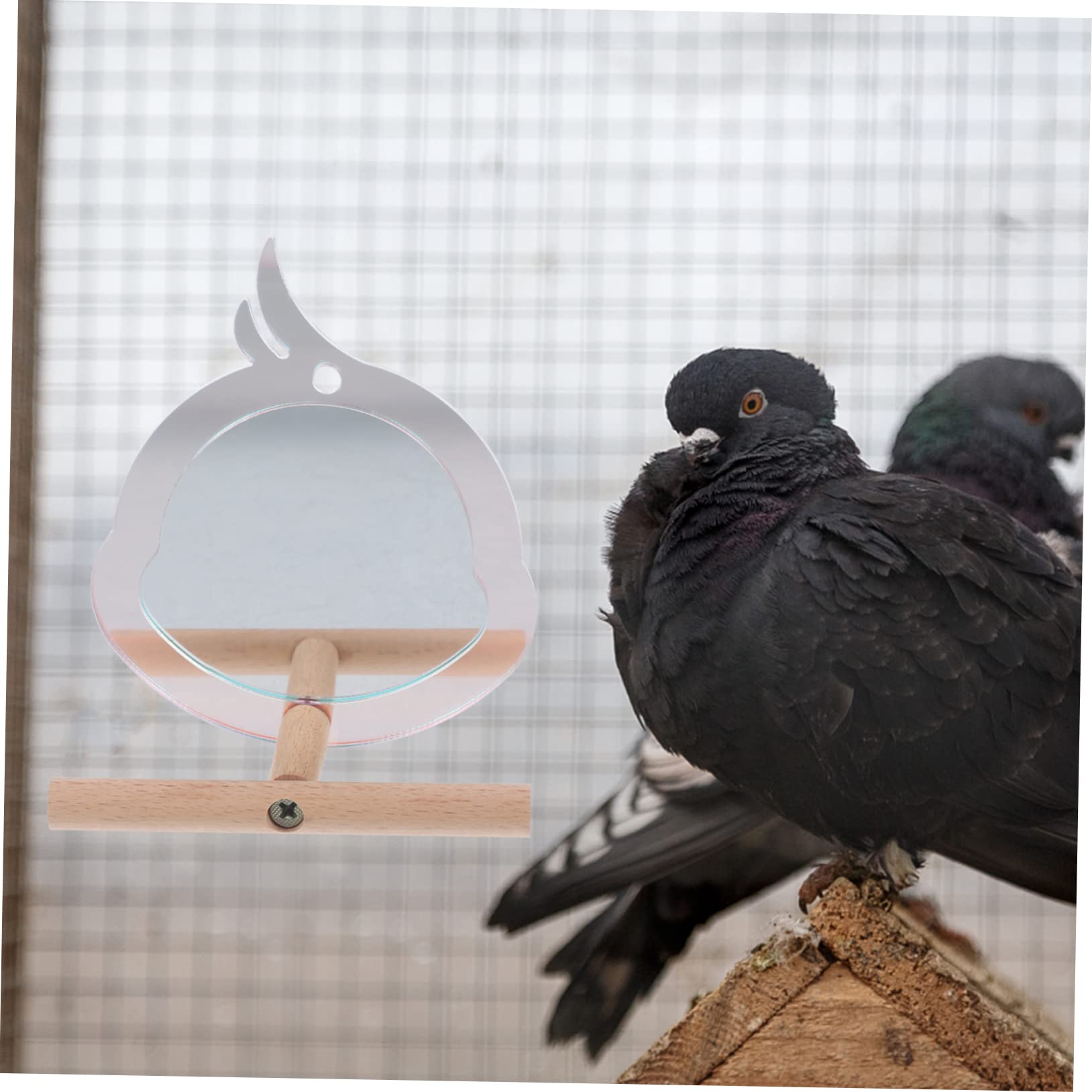 Yardwe 5St Papageienbarsch Spielzeug für Papageienkäfige Zweige des Papageienständers Vogelkäfigständer Haustier-Spiegelspielzeug Käfig Vogelspielzeug Vogelzubehör Vogel Steht Acrylsäure