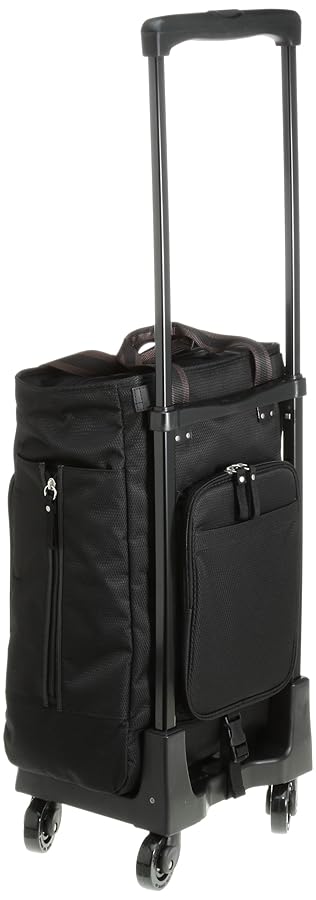 スワニーキャリーバッグ ブラウン D-157 ティノ・サコ L21 スワニーキャリーバッグ ブラウン D-157 ティノ・サコ L21