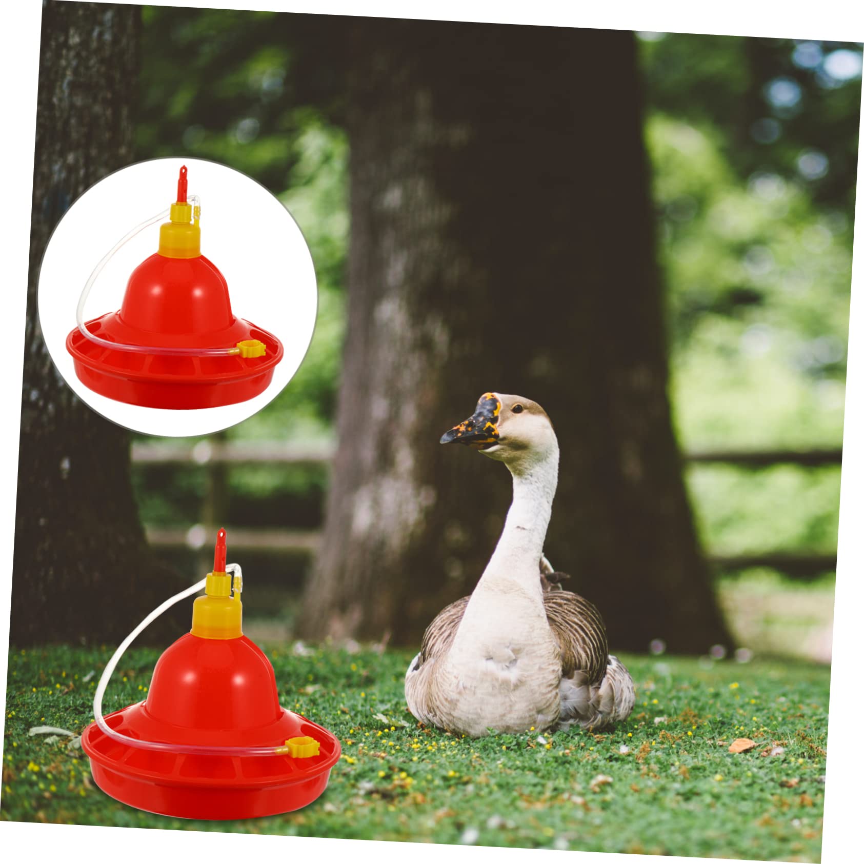 Comedero Automático para Pollitos De Granja Comedero para Agua Comedero para Pollitos